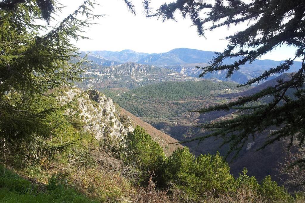 Joli Studio Entre Mer Et Montagne Proche De Nice Bouyon Eksteriør bilde